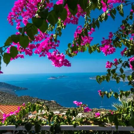 Paradise Villas *