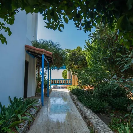 Paradise Villas