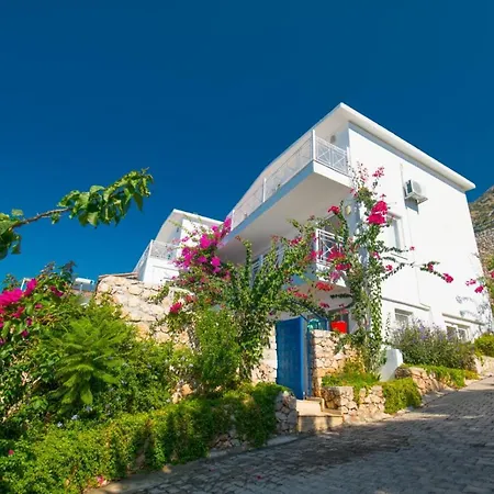 Paradise Villas