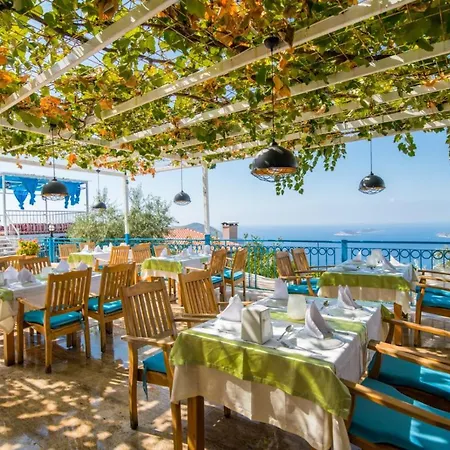 Paradise Villas Villa