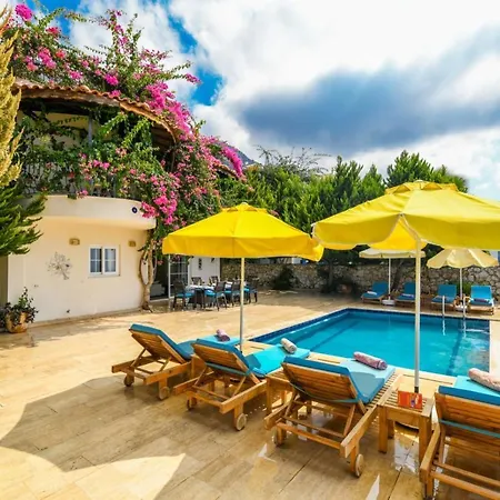 Paradise Villas