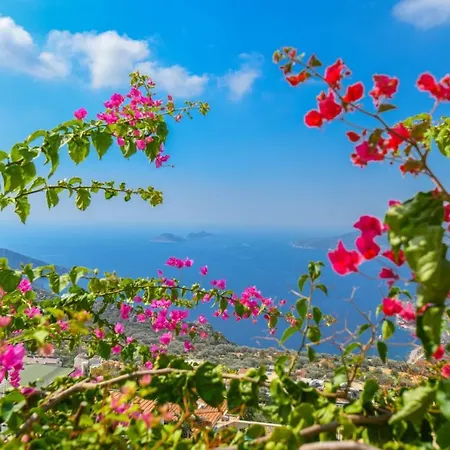 Paradise Villas Kalkan