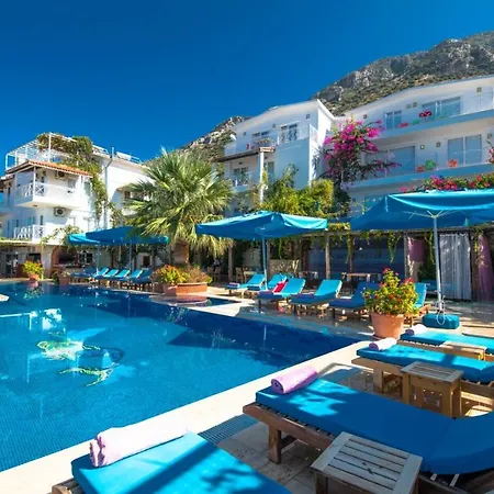 Paradise Villas *